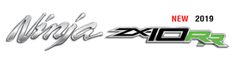 Logo NinjaZX-10RR